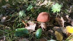 IMG20260916092459.jpg