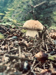 IMG_1483.jpeg