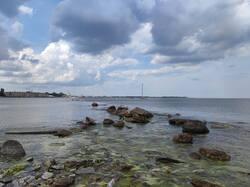 IMG_20250803_132040.thumb.jpg.aeb686cfc447e9c9f1cc4cd7660eda3d.jpg