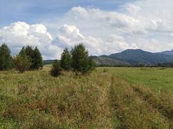 IMG_20260831_132441.jpg