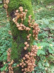IMG_20260901_131952_264.thumb.jpg.f08287b172b4bf6e7ebe6a327050bce6.jpg