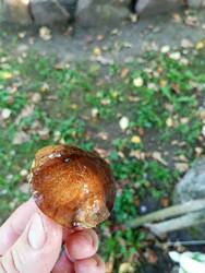 IMG_20260901_145124.jpg