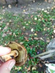 IMG_20260901_145126.jpg