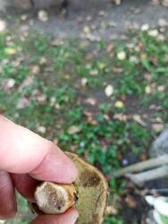 IMG_20260901_145131.jpg