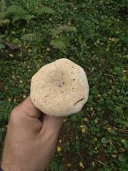 IMG_20260902_161650.jpg
