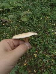 IMG_20260902_161653.jpg