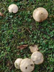 IMG_20260903_184907.jpg