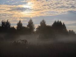 IMG_20260904_065317.jpg