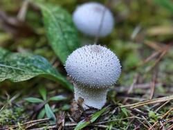 IMG_20260904_075419.jpg