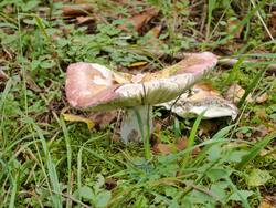 IMG_20260904_101414.jpg
