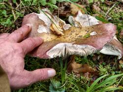 IMG_20260904_101423.jpg