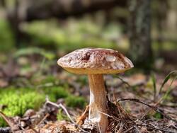 IMG_20260904_113334.jpg