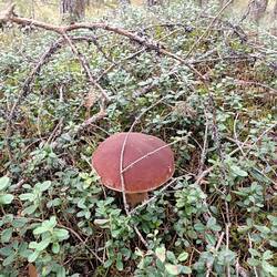 IMG_20260904_135211.jpg