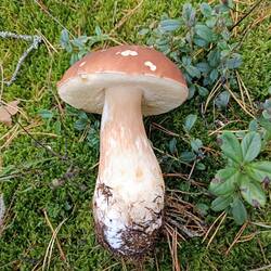 IMG_20260904_142558.jpg