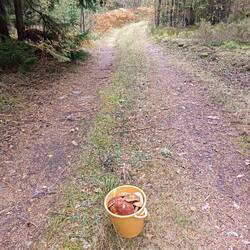 IMG_20260904_143722.jpg
