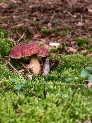 IMG_20260904_153755.jpg