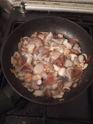 IMG_20260904_201349.jpg