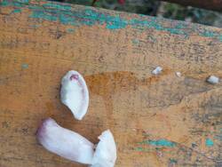 IMG_20260905_162128.jpg