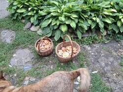 IMG_20260907_144634_158.jpg