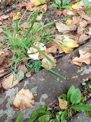 IMG_20260908_142216_578.thumb.jpg.17dce68e727aecb6ac281c70a28a70c3.jpg