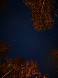 IMG_20260909_203252.jpg