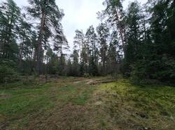 IMG_20260912_062559.thumb.jpg.29c2f8adc074c393775ff8b96eebd039.jpg