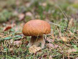 IMG_20260912_073721.jpg
