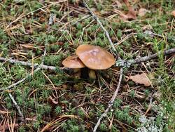 IMG_20260912_095136.jpg