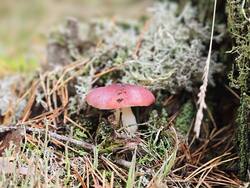 IMG_20260912_095428.jpg