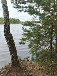 IMG_20260912_101652_768.jpg