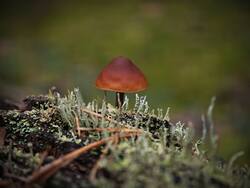 IMG_20260912_102700.jpg