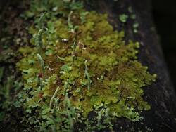 IMG_20260912_103152.jpg