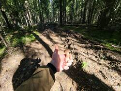 IMG_20260912_123408.jpg
