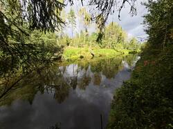 IMG_20260912_124646.jpg