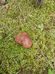 IMG_20260912_132600.jpg