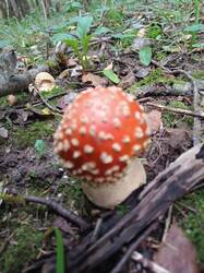 IMG_20260912_154028.jpg