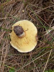 IMG_20260913_120138.jpg