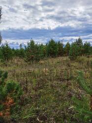 IMG_20260913_125824.jpg