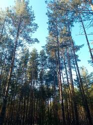 IMG_20260914_072146_623.jpg