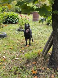 IMG_20260914_151909.jpg