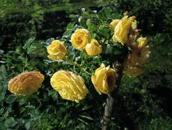 IMG_20260914_163646_277.thumb.jpg.a99cd35825cdd79c90e2f6c98d7cf0a2.jpg