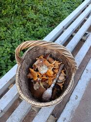 IMG_20260914_174352.jpg