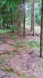 IMG_20260915_125340_794.jpg