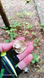 IMG_20260915_125401_748.jpg