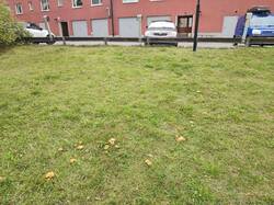 IMG_20260915_143847.thumb.jpg.d6d1c6cb9bf75b89e1e7b86d0a07bc1a.jpg