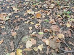 IMG_20260915_161016_720.jpg