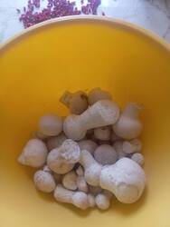 IMG_20260916_101509.thumb.jpg.434c9cd8d52b6415d0f0977a3c4b81cc.jpg