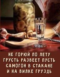 IMG_20260916_132212_360.jpg