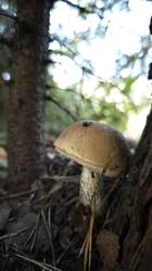 IMG_20260916_132438.jpg