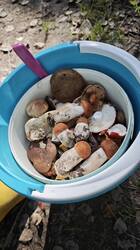 IMG_20260916_193634.jpg